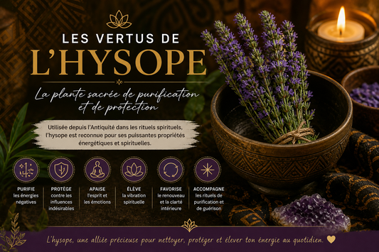 Les vertus de l'hysope : plante sacrée de purification spirituelle