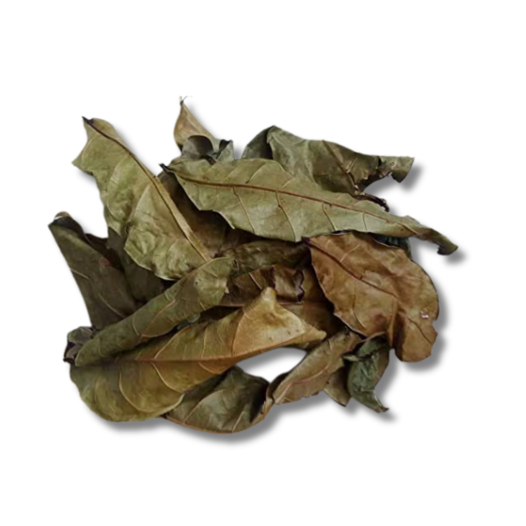 Feuilles d’Hysope Africaines – Purification & Libération Spirituelle