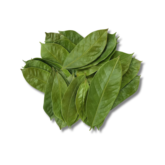 Feuilles de Corossol – Calme du corps, sérénité de l’esprit